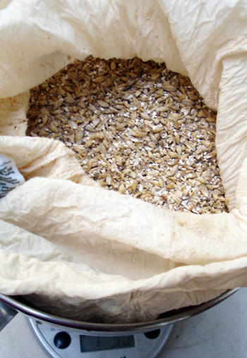 crushed barley in a cloth sack