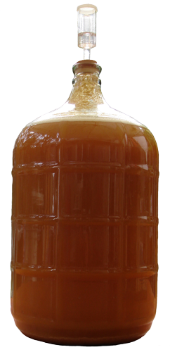 Carboy full of fermenting beer